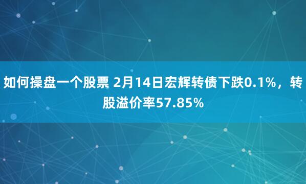 如何操盘一个股票 2月14日宏辉转债下跌0.1%，转股溢价率57.85%