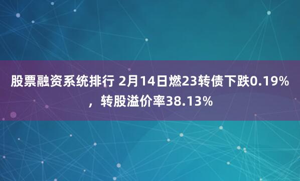 股票融资系统排行 2月14日燃23转债下跌0.19%，转股溢价率38.13%