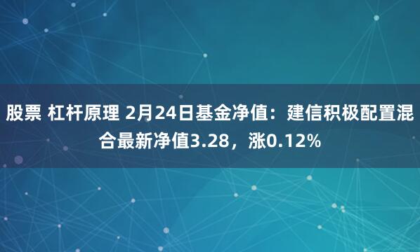 股票 杠杆原理 2月24日基金净值：建信积极配置混合最新净值3.28，涨0.12%